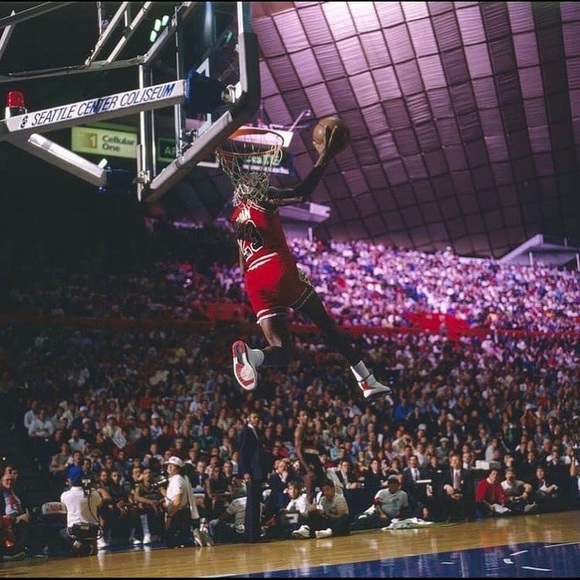 Meet your Posher, Brady - Picture 1 of 1